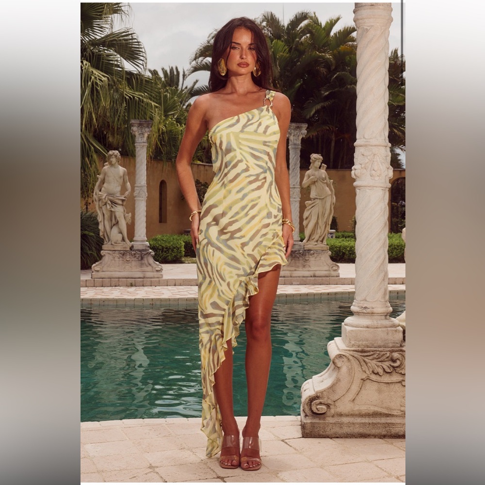 RUNAWAY THE LABEL 
Sabia Midi Dress- Sivella Print NWT